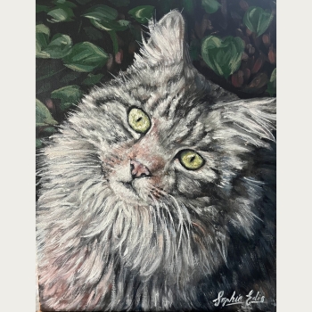 Cat Portrait - Oil Painting - 11x14 inch - By Sophie Edis