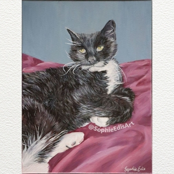 Cat Portrait - Oil Painting - 12x16 inch - By Sophie Edis