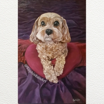 Cavoodle Dog Portrait - Oil Painting - 20x30 inch - By Sophie Edis