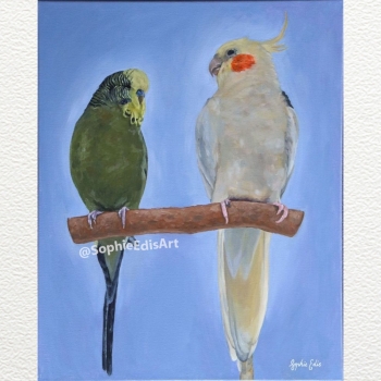 Cockatiel & Budgie Portrait - Oil Painting - 16x20 inch - By Sophie Edis