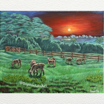 Farm Paddock with Sheep - Acrylic Painting - 20x16 inch - By Sophie Edis