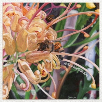 Grevillea Ned Kelly Flowers with Bee - Oil Painting - 30x30 inch - By Sophie Edis