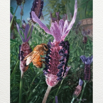 Lavender Flower with Bee - Oil Painting - 24x30 inch - By Sophie Edis